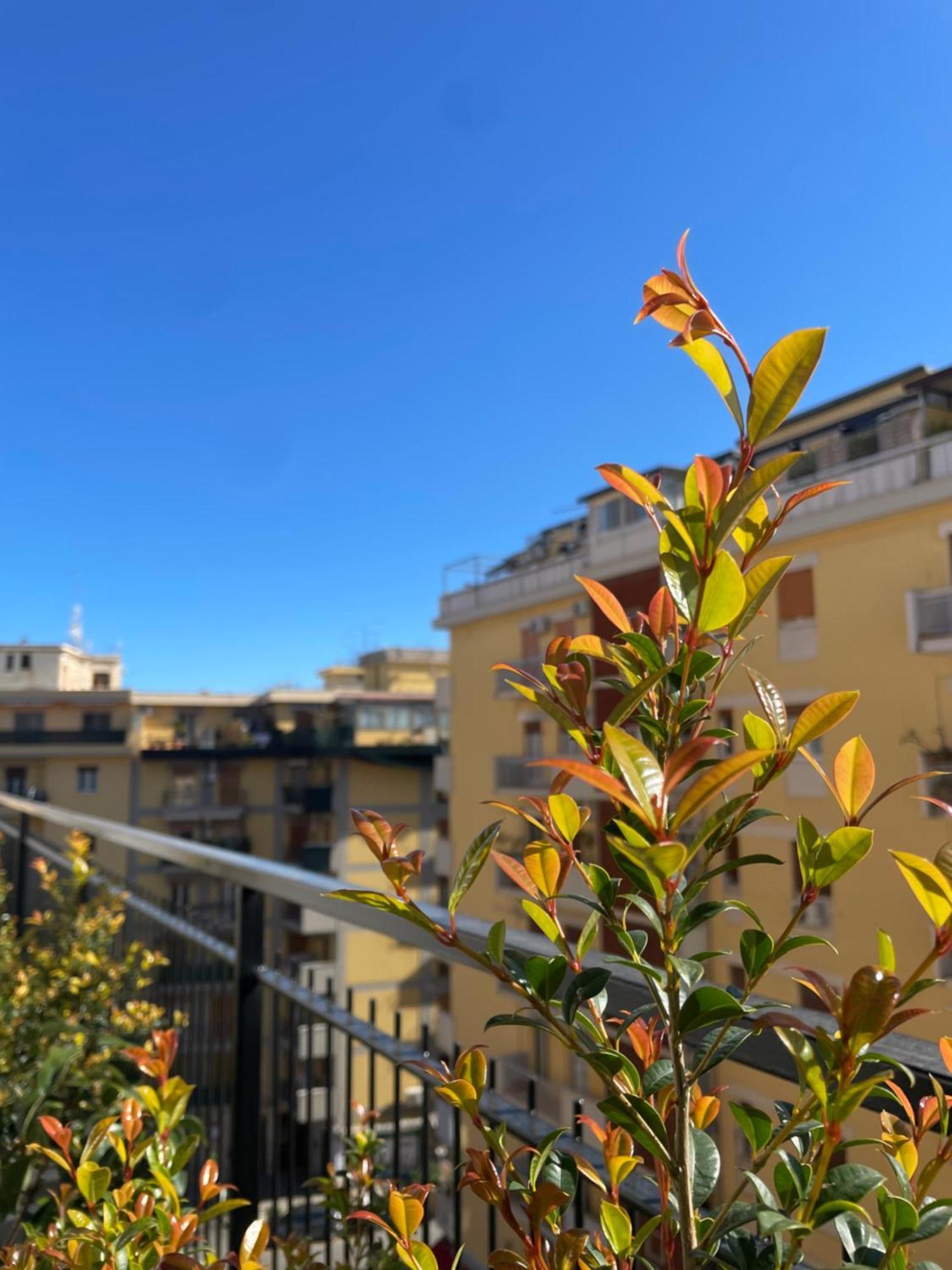 Terrazza L Emiro Casa Vacanze Apartment Palermo Exterior photo